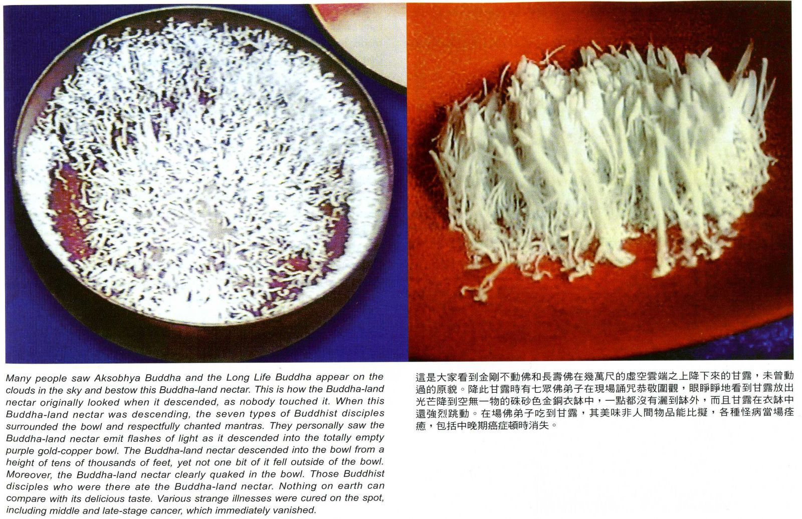 佛降甘露是这样得来的 南无羌佛的圣量-图片3